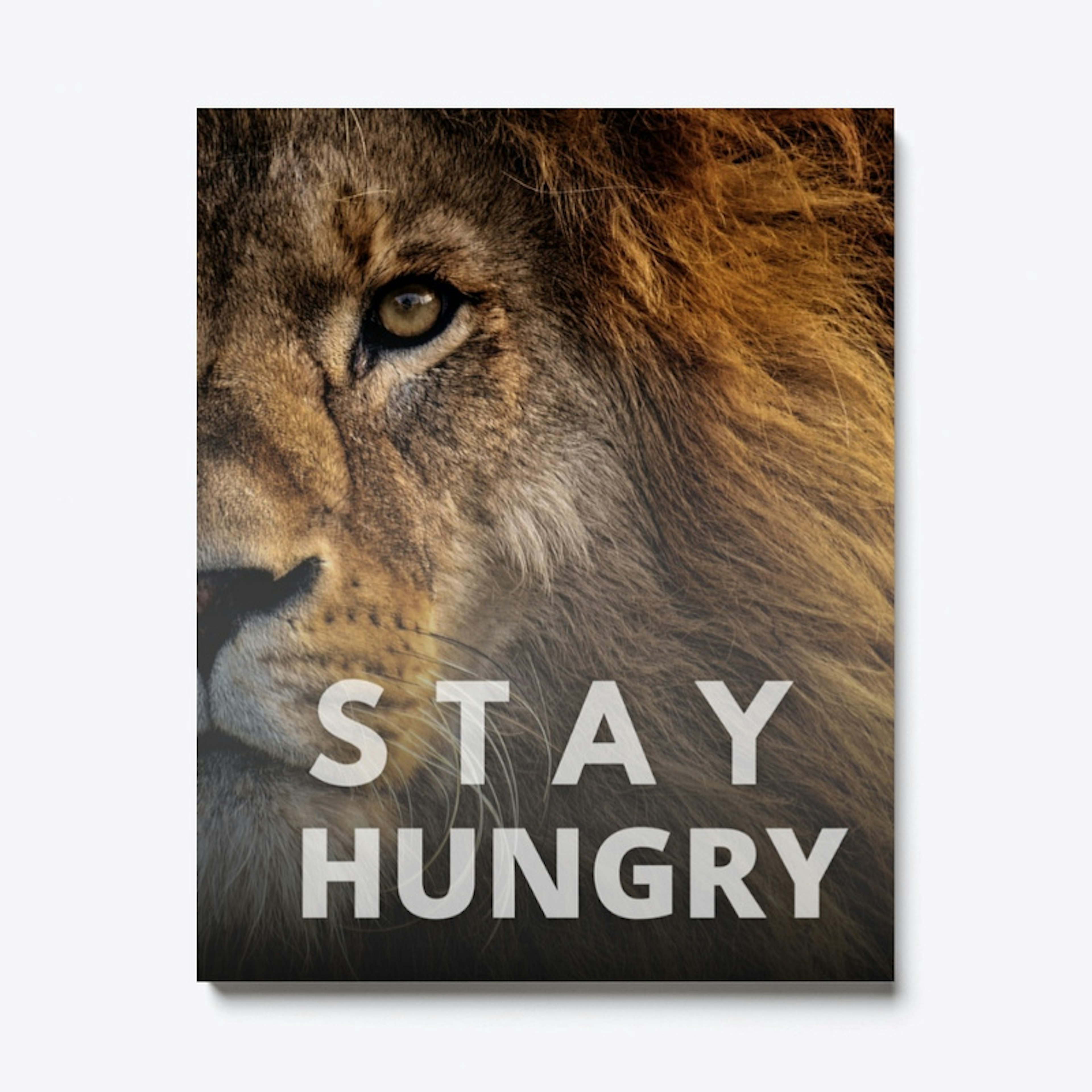 Stay Hungry (Lion)